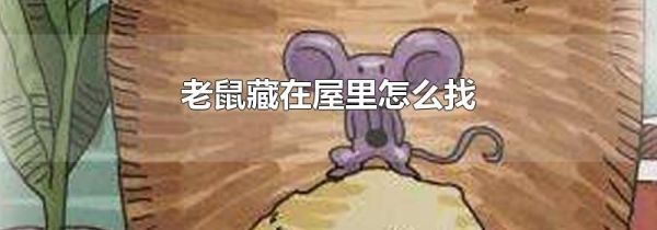 老鼠藏在屋里怎么找