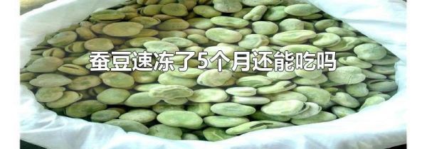 蚕豆速冻了5个月还能吃吗