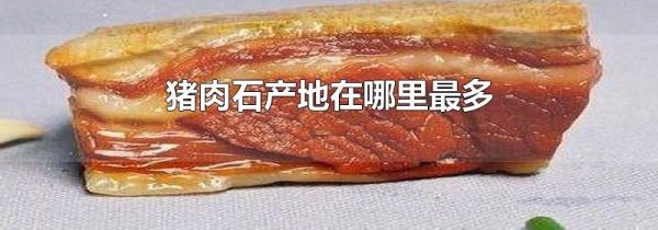 猪肉石产地在哪里最多