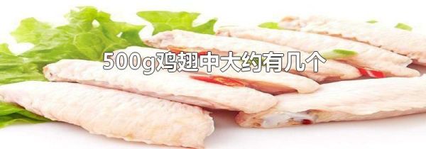 500g鸡翅中大约有几个