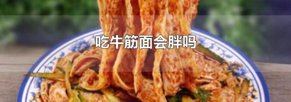吃牛筋面会胖吗