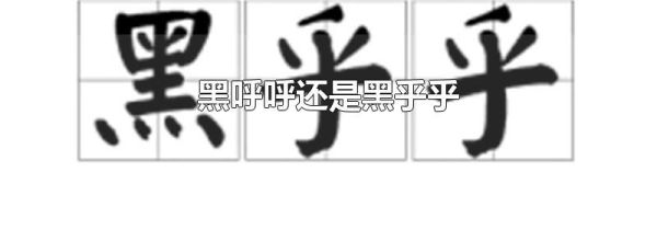 黑呼呼还是黑乎乎