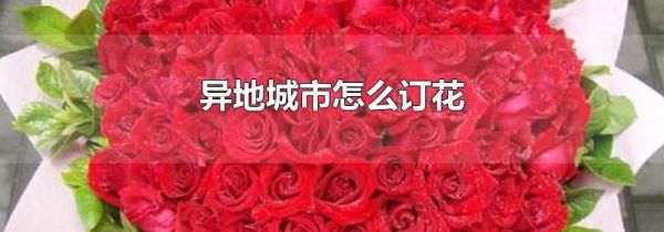 异地城市怎么订花