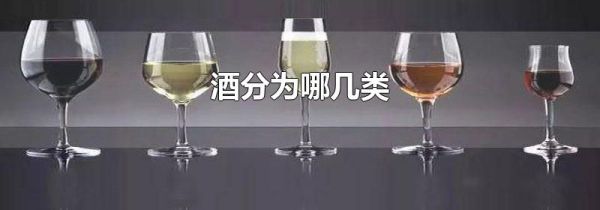 酒分为哪几类