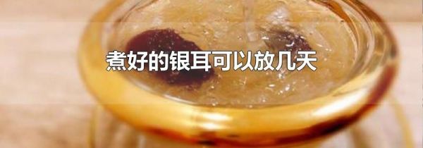 煮好的银耳可以放几天