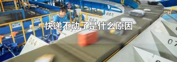 快递不动了是什么原因
