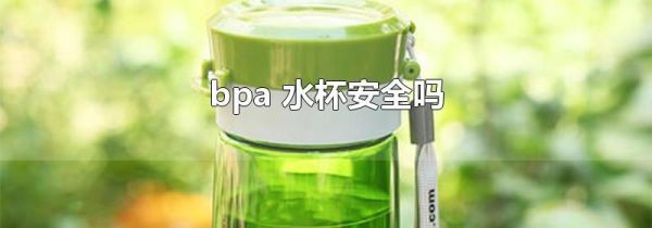 bpa 水杯安全吗