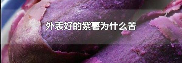 外表好的紫薯为什么苦