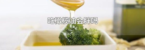 吃橄榄油会胖吗