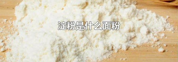 淀粉是什么面粉