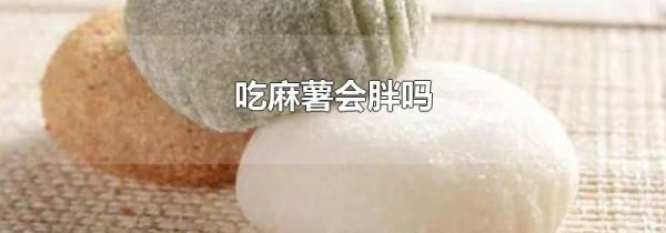 吃麻薯会胖吗