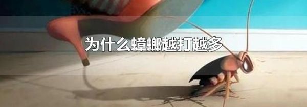 为什么蟑螂越打越多