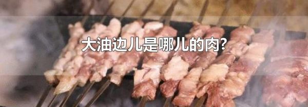 大油边儿是哪儿的肉?