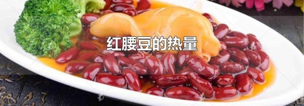 红腰豆的热量
