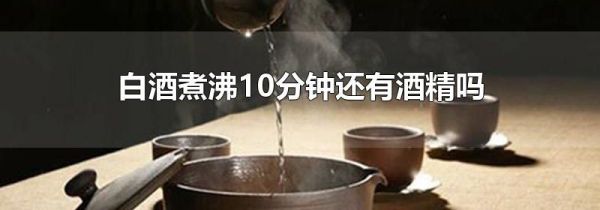 白酒煮沸10分钟还有酒精吗