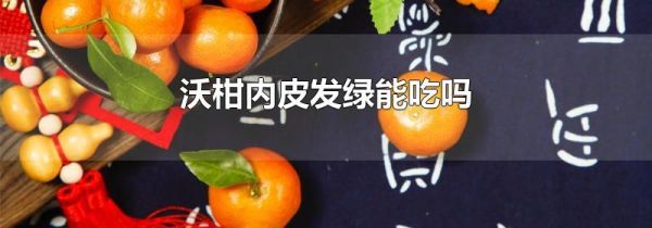 沃柑内皮发绿能吃吗