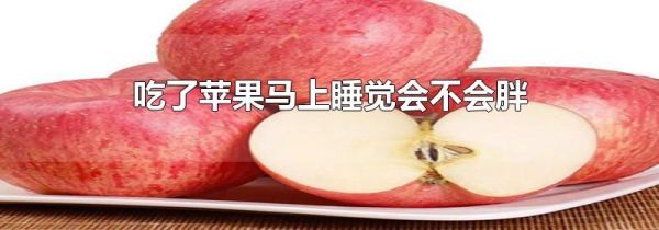 吃了苹果马上睡觉会不会胖