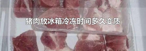 猪肉放冰箱冷冻时间多久变质