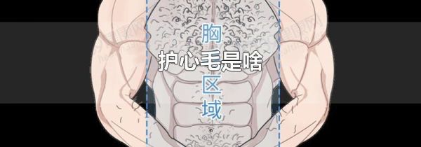 护心毛是啥