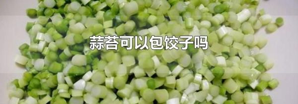 蒜苔可以包饺子吗