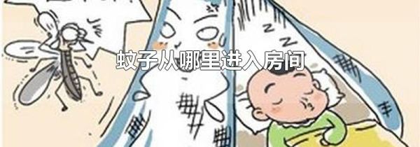 蚊子从哪里进入房间