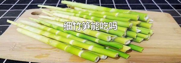 细竹笋能吃吗