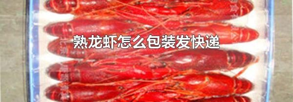 熟龙虾怎么包装发快递