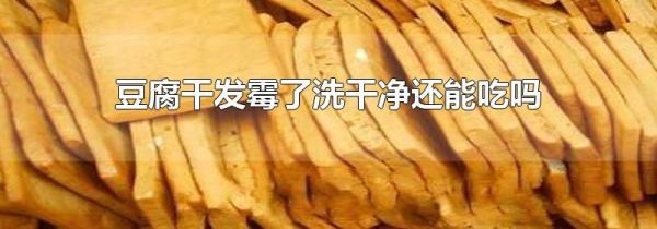 豆腐干发霉了洗干净还能吃吗