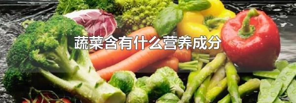 蔬菜含有什么营养成分