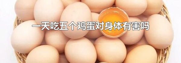 一天吃五个鸡蛋对身体有害吗
