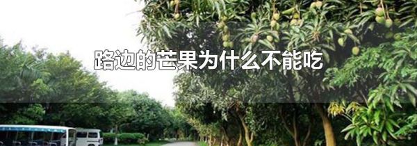 路边的芒果为什么不能吃