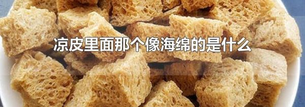 凉皮里面那个像海绵的是什么