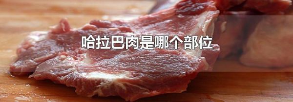 哈拉巴肉是哪个部位