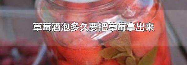 草莓酒泡多久要把草莓拿出来