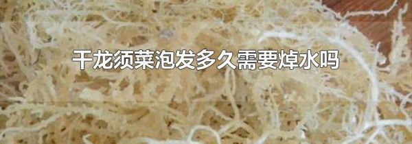 干龙须菜泡发多久需要焯水吗