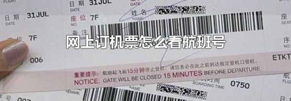网上订机票怎么看航班号