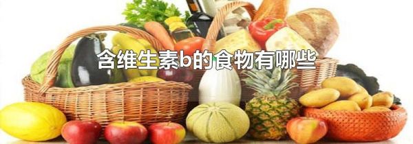 含维生素b的食物有哪些