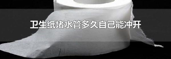 卫生纸堵水管多久自己能冲开