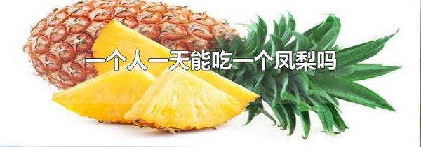 一个人一天能吃一个凤梨吗
