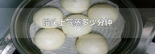 馒头上气蒸多少分钟