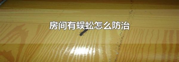 房间有蜈蚣怎么防治