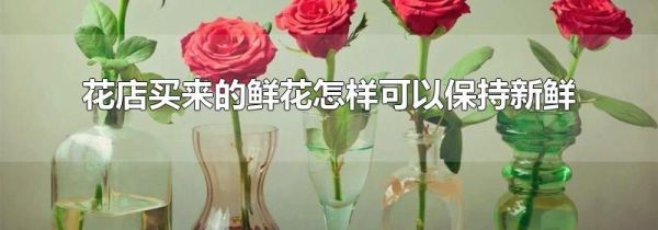 花店买来的鲜花怎样可以保持新鲜