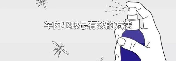 车内驱蚊最有效的方法