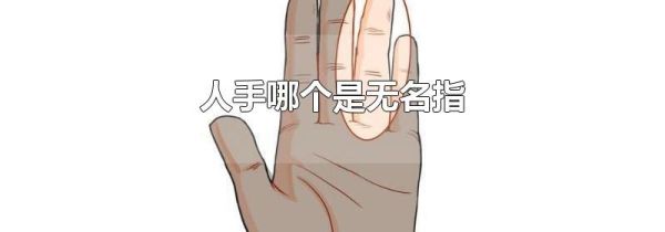 人手哪个是无名指