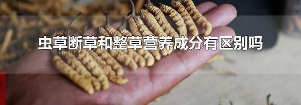 虫草断草和整草营养成分有区别吗