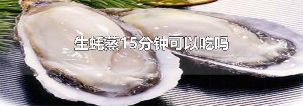 生蚝蒸15分钟可以吃吗