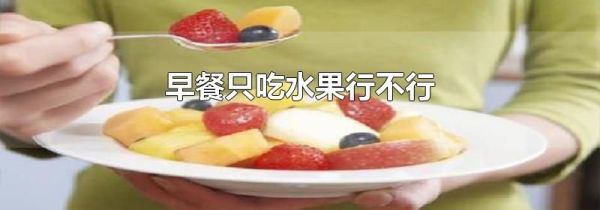 早餐只吃水果行不行