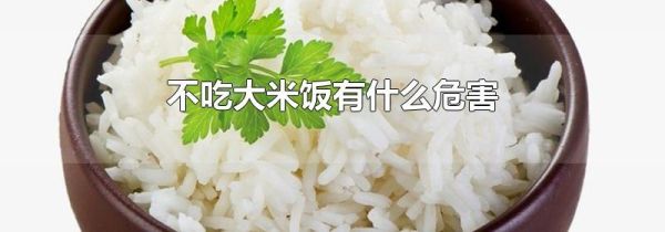 不吃大米饭有什么危害