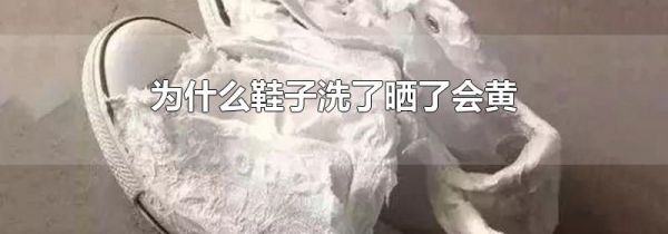为什么鞋子洗了晒了会黄