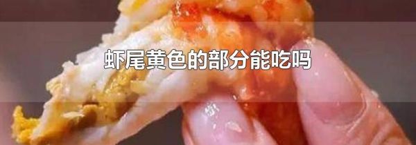 虾尾黄色的部分能吃吗